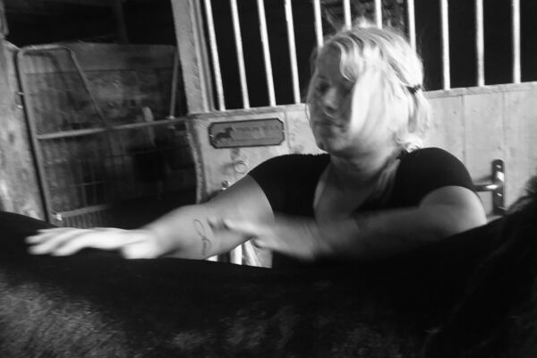 Sunshine healing a horse in the barn